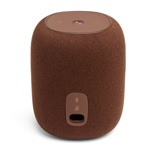 JBL Link Music - Brown - Wi-Fi speaker - Back